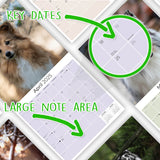 Shetland Sheepdog Wall Calendar 2025