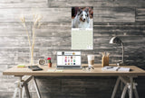 Shetland Sheepdog Wall Calendar 2025