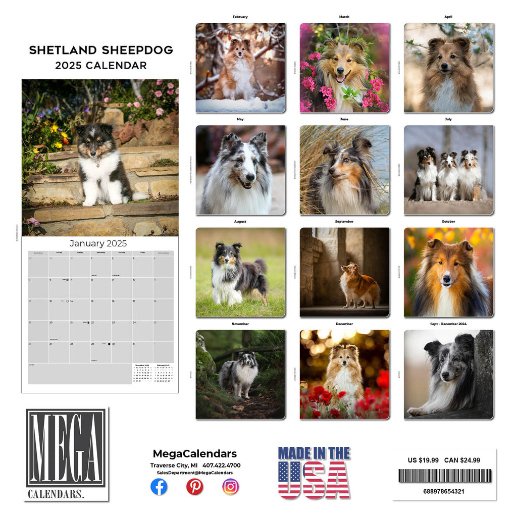 Shetland Sheepdog Wall Calendar 2025