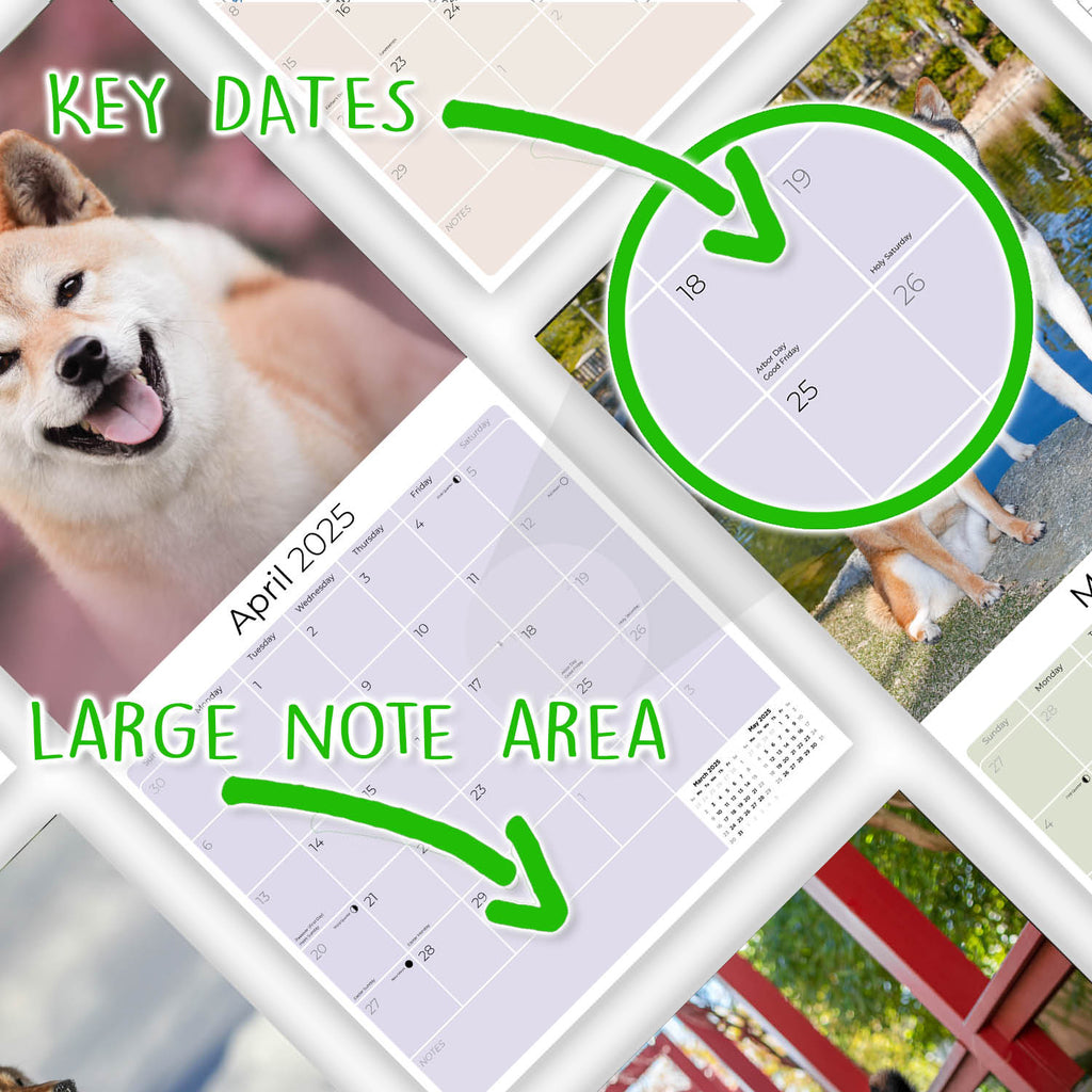 Shiba Inu Wall Calendar 2025