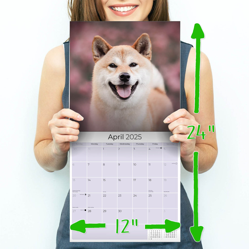 Shiba Inu Wall Calendar 2025