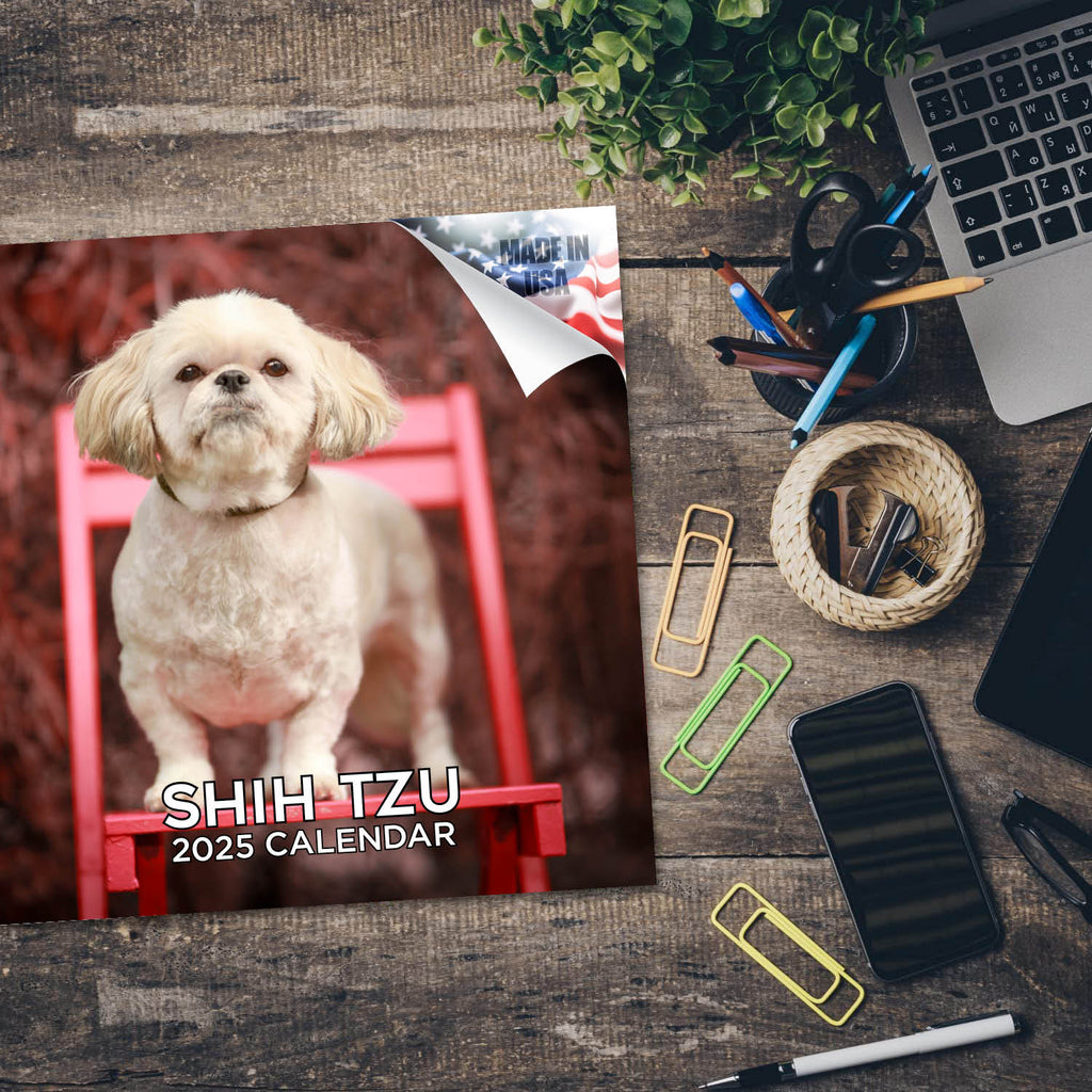 Shih Tzu Wall Calendar 2025