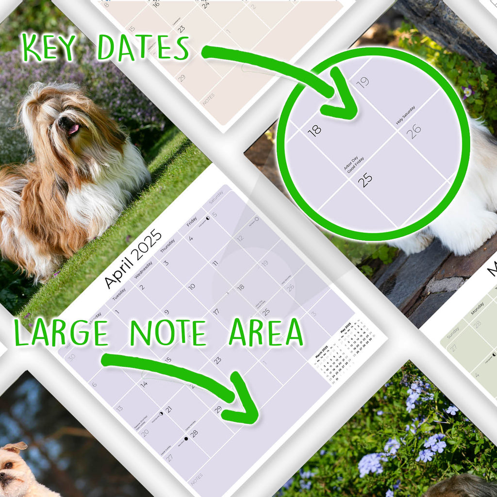 Shih Tzu Wall Calendar 2025