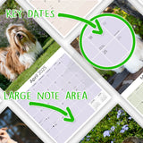Shih Tzu Wall Calendar 2025