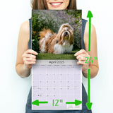 Shih Tzu Wall Calendar 2025