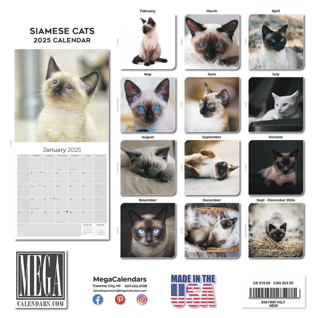 Cats - Siamese Wall Calendar 2025