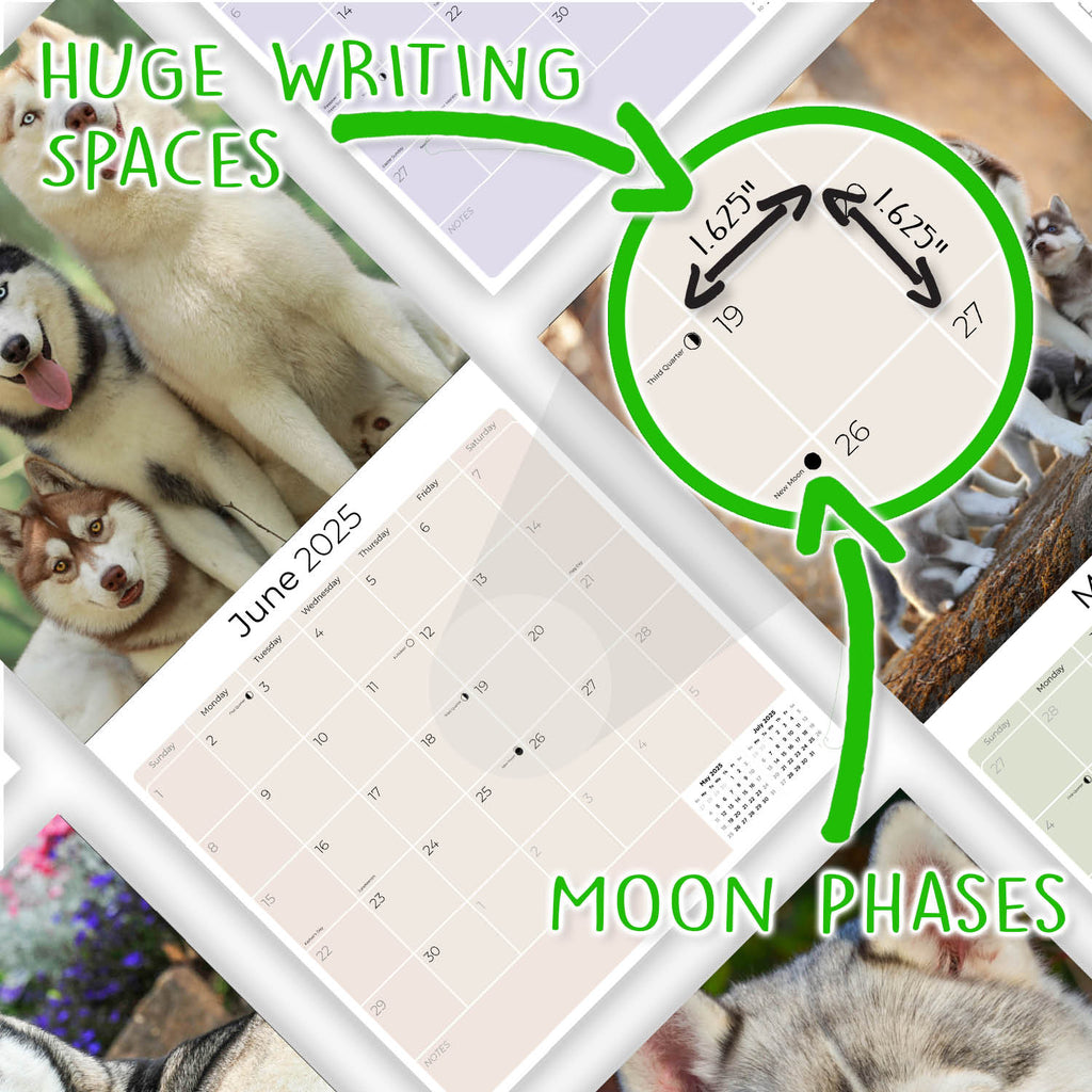 Siberian Husky Wall Calendar 2025