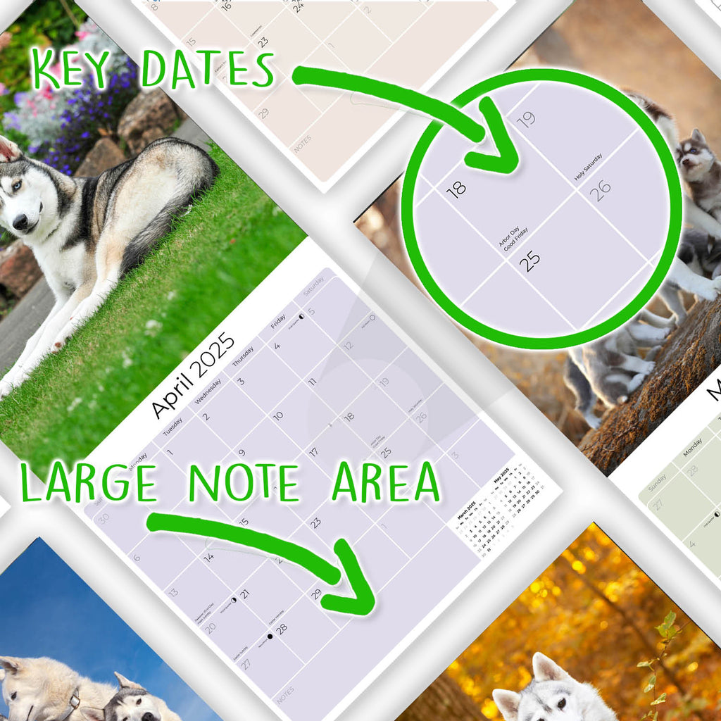 Siberian Husky Wall Calendar 2025