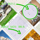 Siberian Husky Wall Calendar 2025