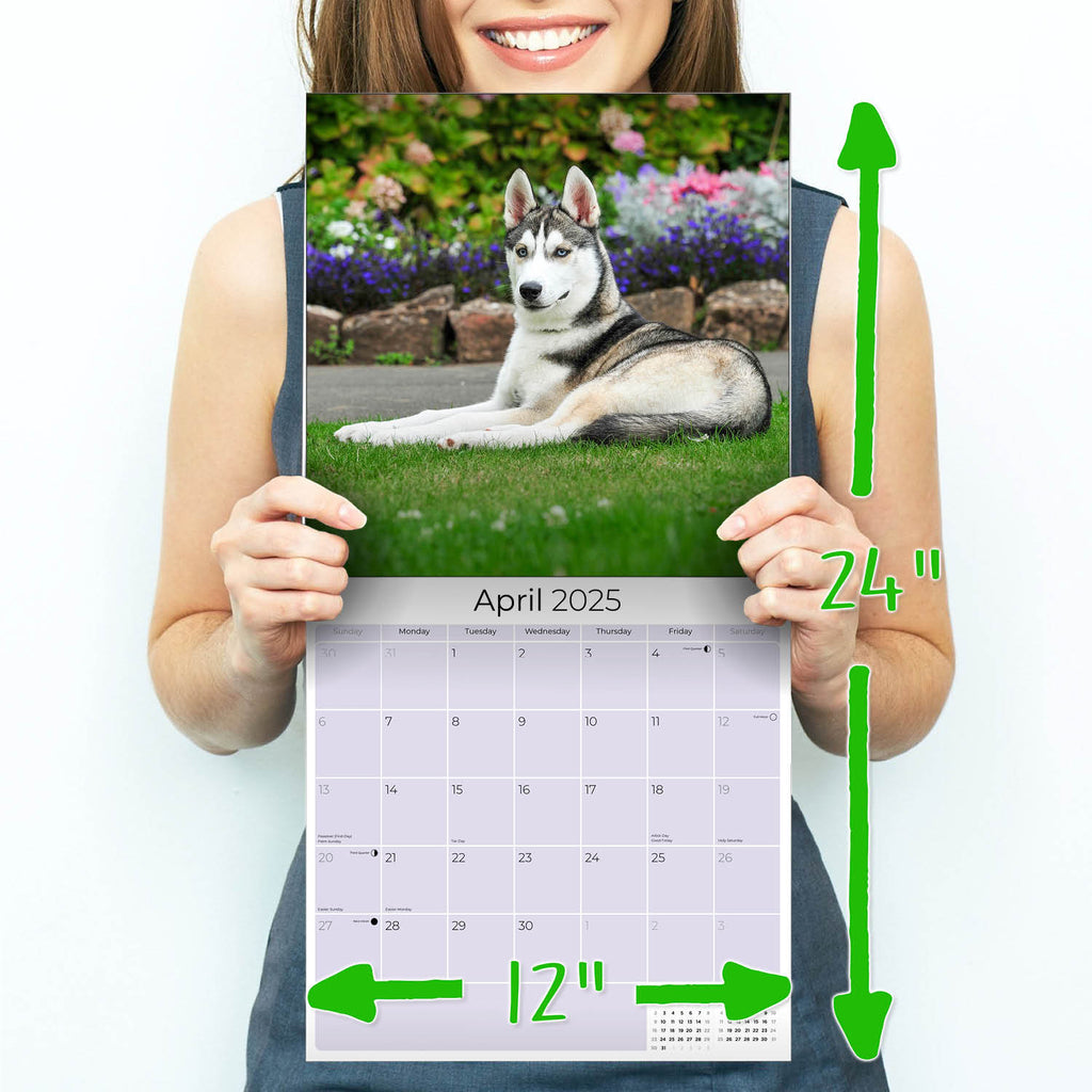 Siberian Husky Wall Calendar 2025