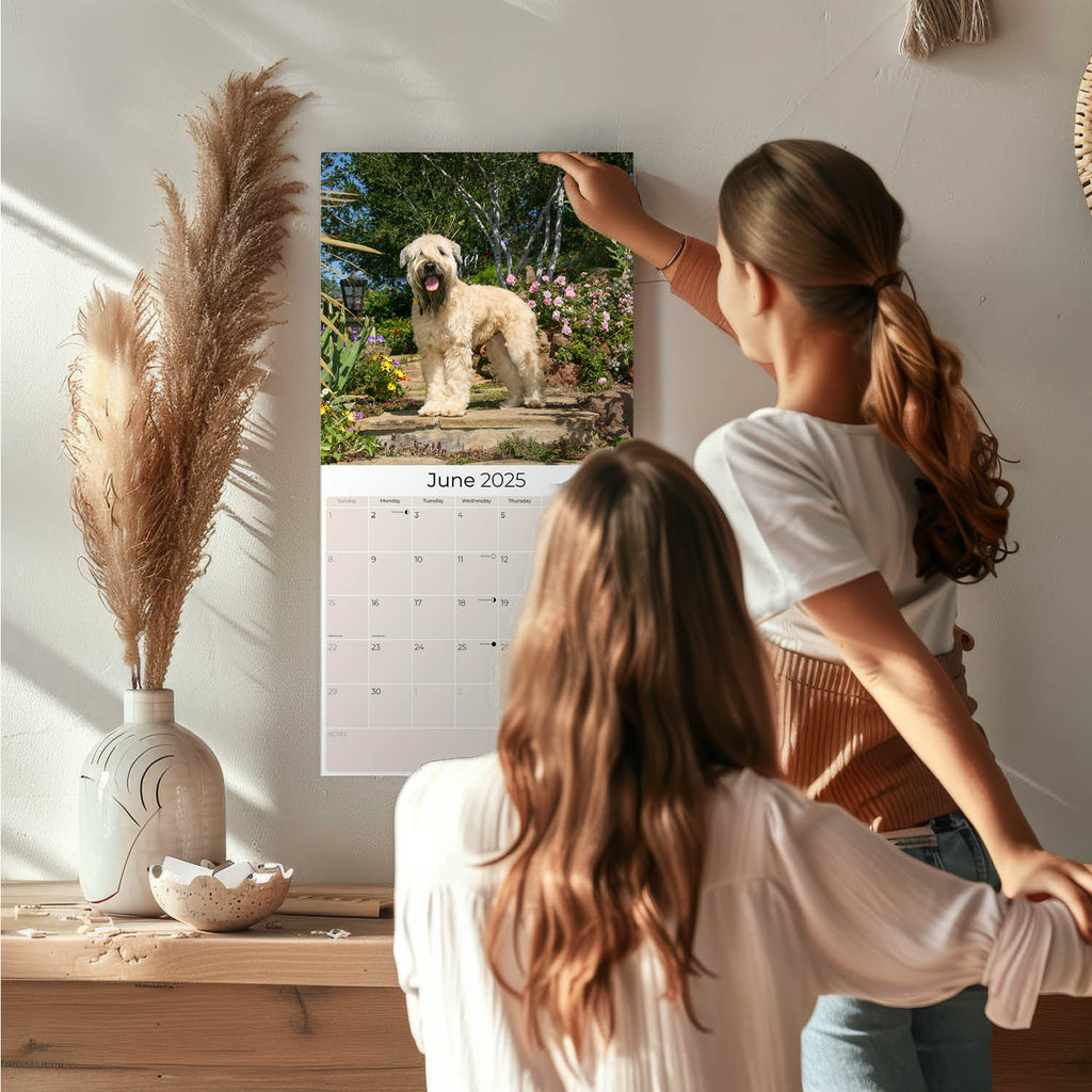 Softcoat Wheaten Terrier Wall Calendar 2025