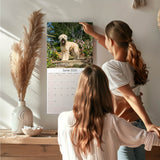 Softcoat Wheaten Terrier Wall Calendar 2025