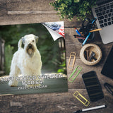 Softcoat Wheaten Terrier Wall Calendar 2025