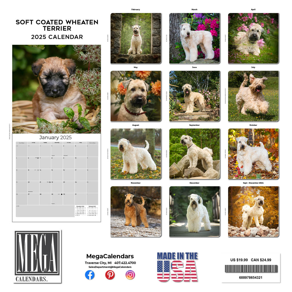 Softcoat Wheaten Terrier Wall Calendar 2025