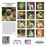 Softcoat Wheaten Terrier Wall Calendar 2025