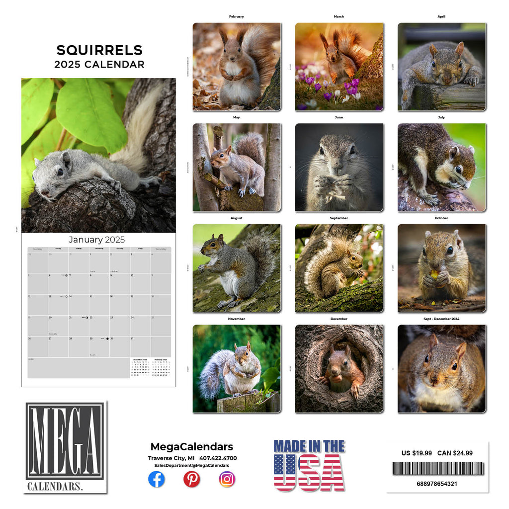 Squirrels Wall Calendar 2025