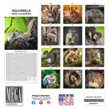 Squirrels Wall Calendar 2025
