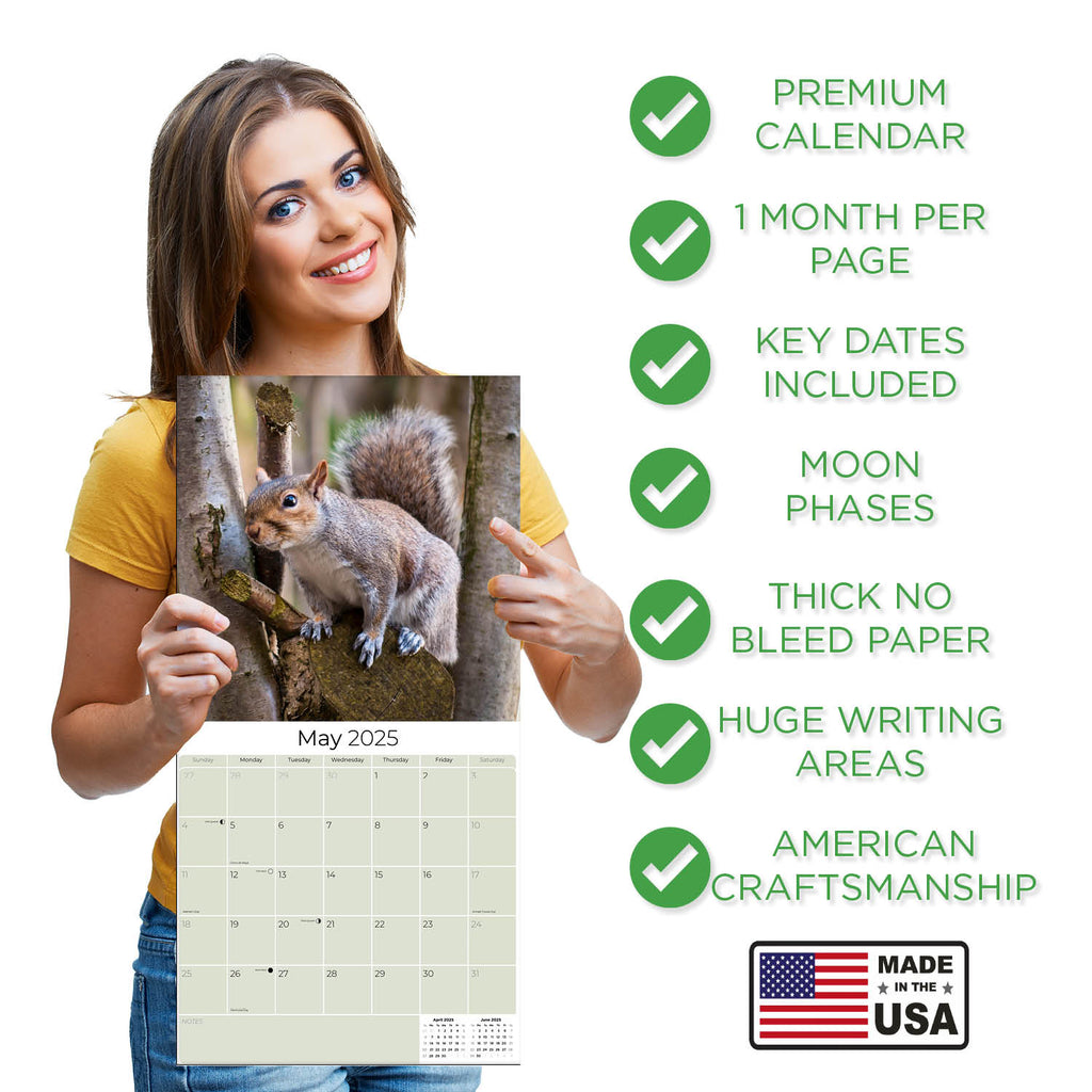 Squirrels Wall Calendar 2025