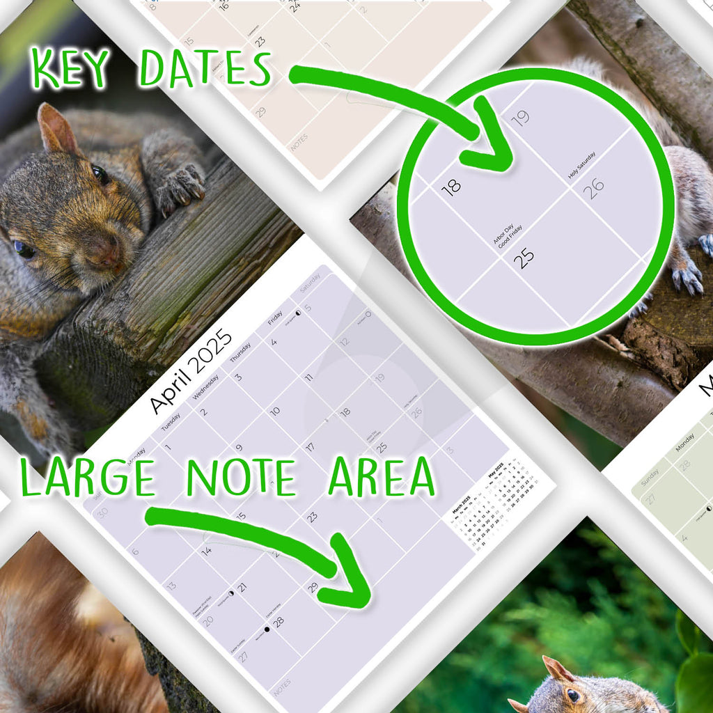 Squirrels Wall Calendar 2025