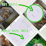 Squirrels Wall Calendar 2025