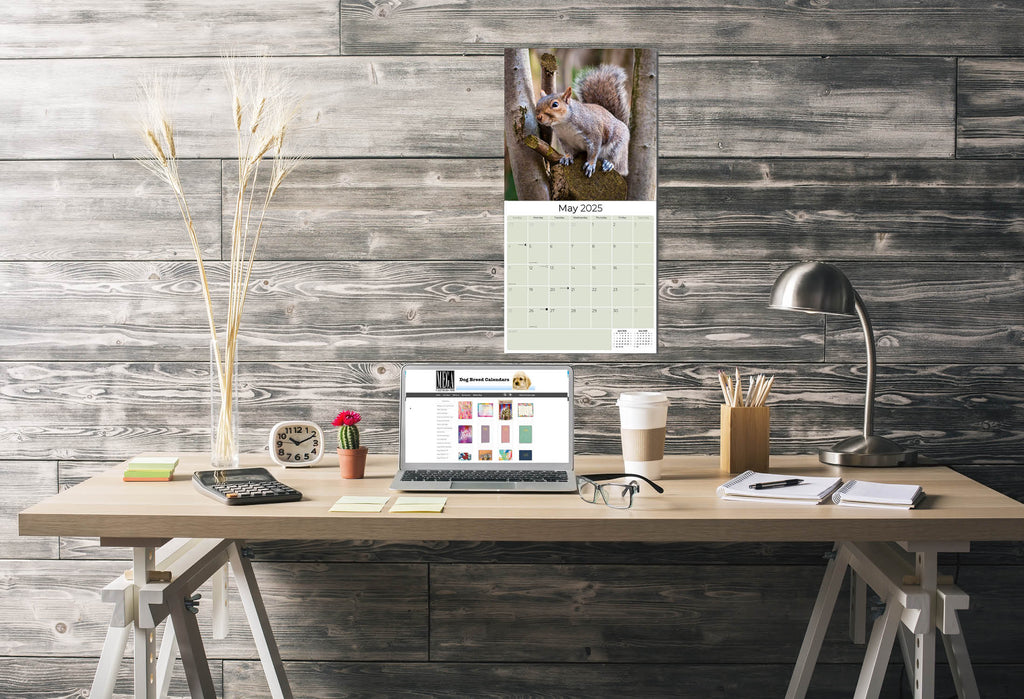 Squirrels Wall Calendar 2025