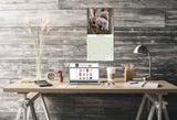 Squirrels Wall Calendar 2025