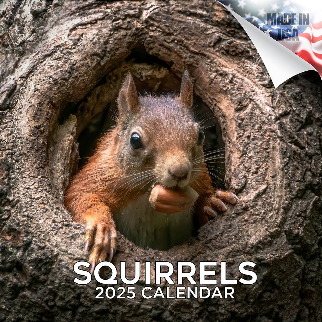 Squirrels Wall Calendar 2025