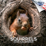 Squirrels Wall Calendar 2025