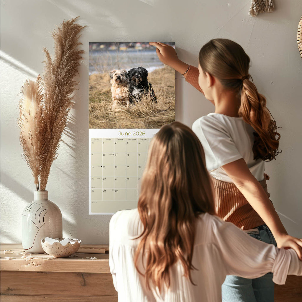 Tibetan Terrier Wall Calendar 2026