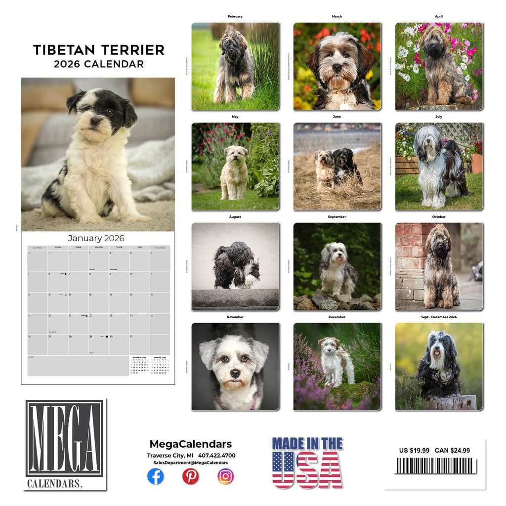 Tibetan Terrier Wall Calendar 2026
