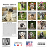 Tibetan Terrier Wall Calendar 2026