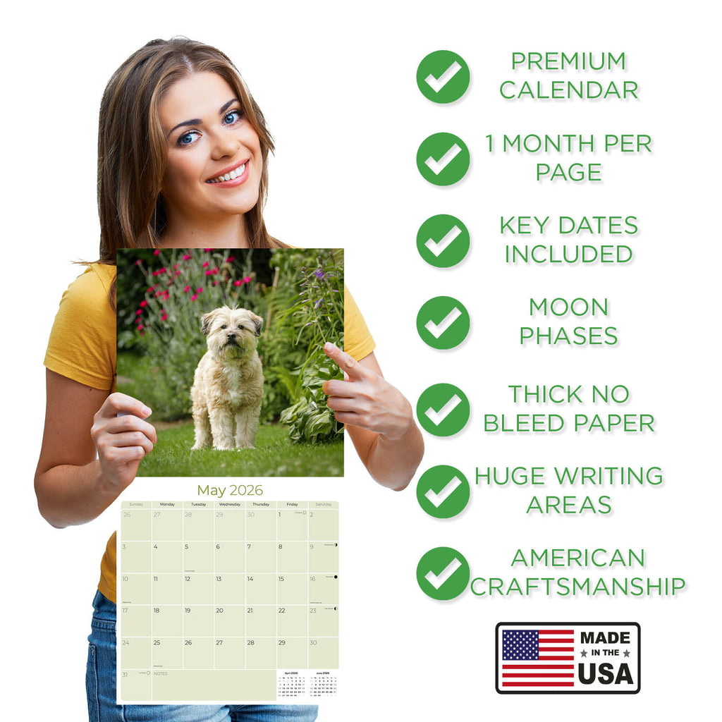 Tibetan Terrier Wall Calendar 2026