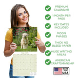 Tibetan Terrier Wall Calendar 2026