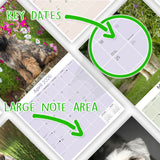 Tibetan Terrier Wall Calendar 2026