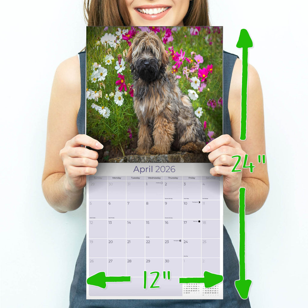 Tibetan Terrier Wall Calendar 2026