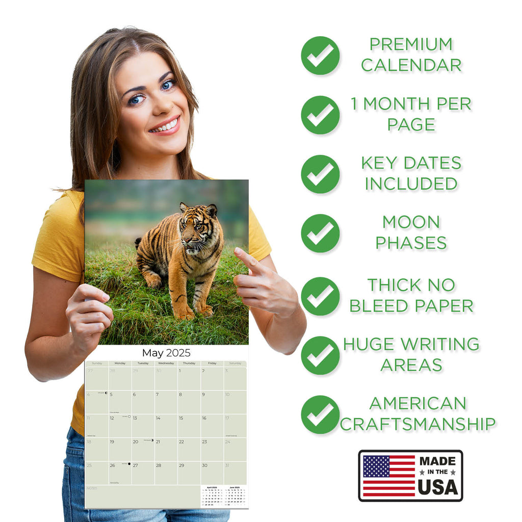Tigers Wall Calendar 2025