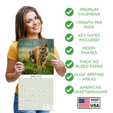 Tigers Wall Calendar 2025