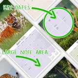 Tigers Wall Calendar 2025