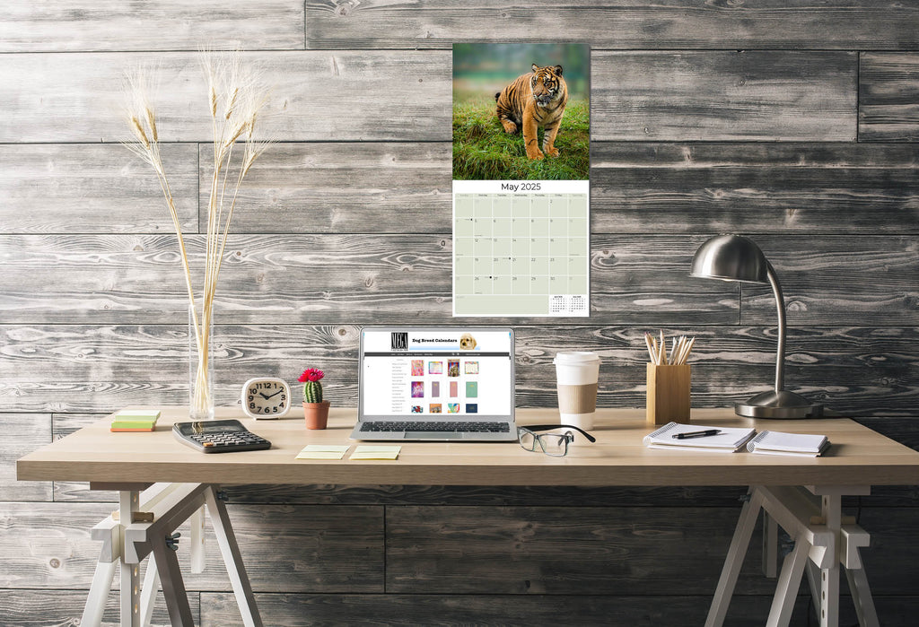 Tigers Wall Calendar 2025