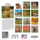Vizsla Wall Calendar 2025