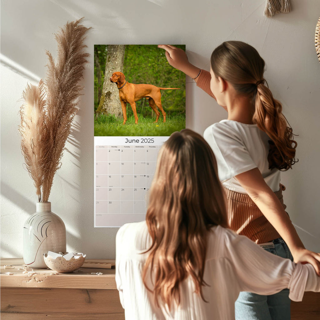Vizsla Wall Calendar 2025