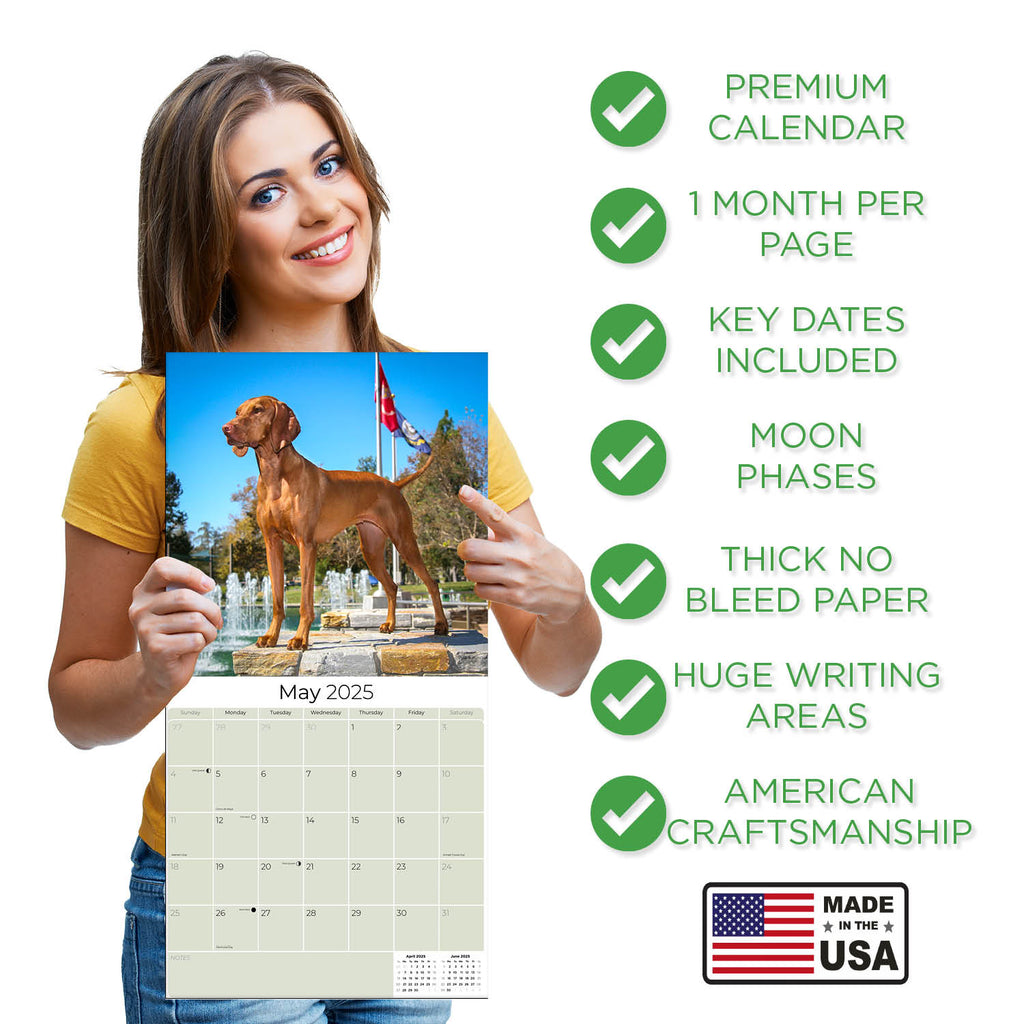 Vizsla Wall Calendar 2025