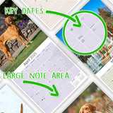 Vizsla Wall Calendar 2025