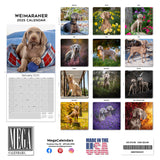 Weimaraner Wall Calendar 2025