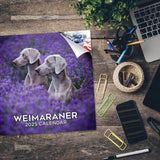 Weimaraner Wall Calendar 2025