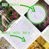 Weimaraner Wall Calendar 2025