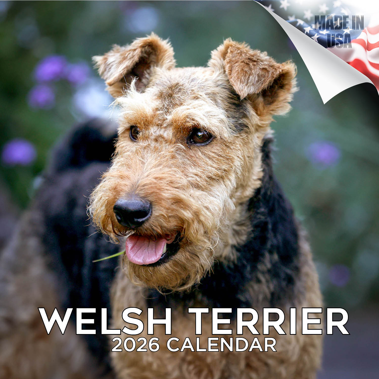 Welsh Terrier Wall Calendar 2026