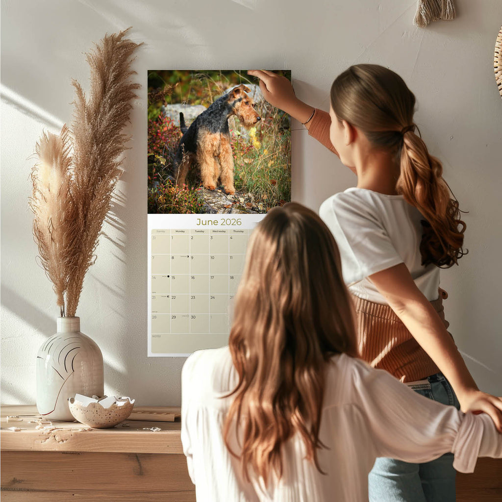 Welsh Terrier Wall Calendar 2026