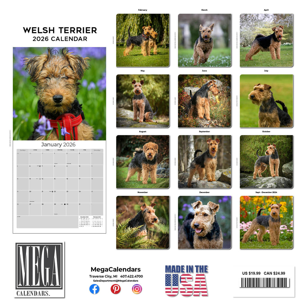 Welsh Terrier Wall Calendar 2026