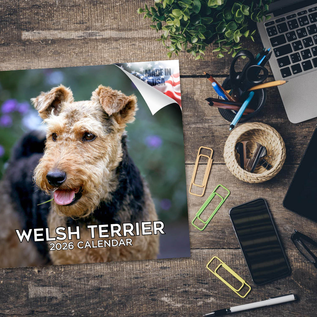 Welsh Terrier Wall Calendar 2026